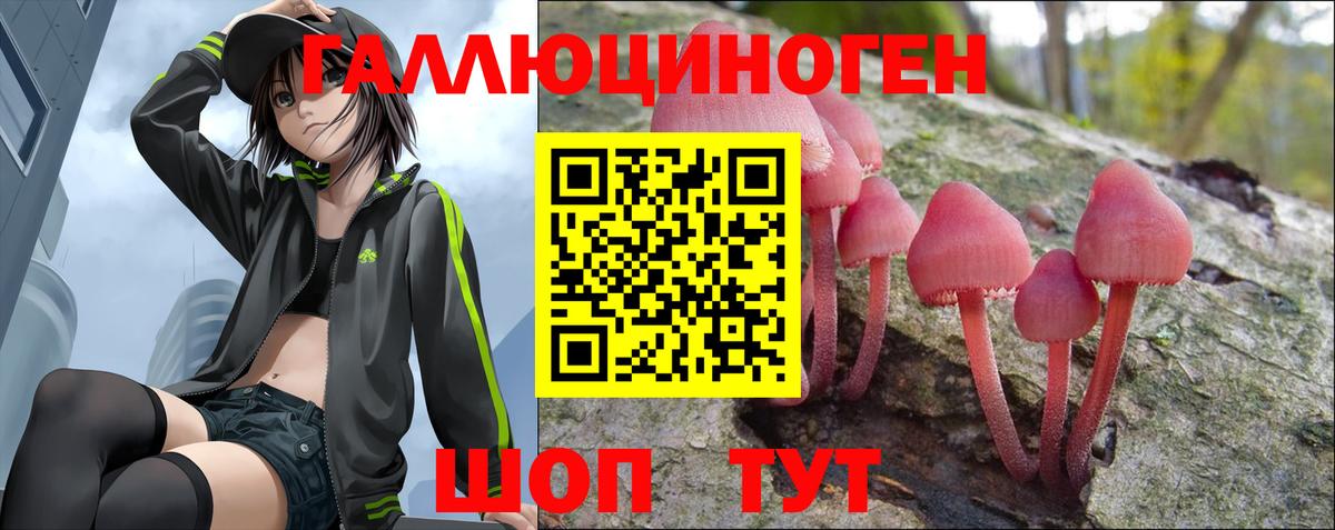 Псилоцибиновые грибы прущие грибы Белореченск